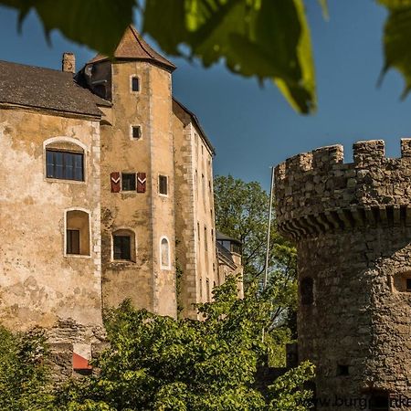 Burg Plankenstein Ξενοδοχείο Texing Εξωτερικό φωτογραφία