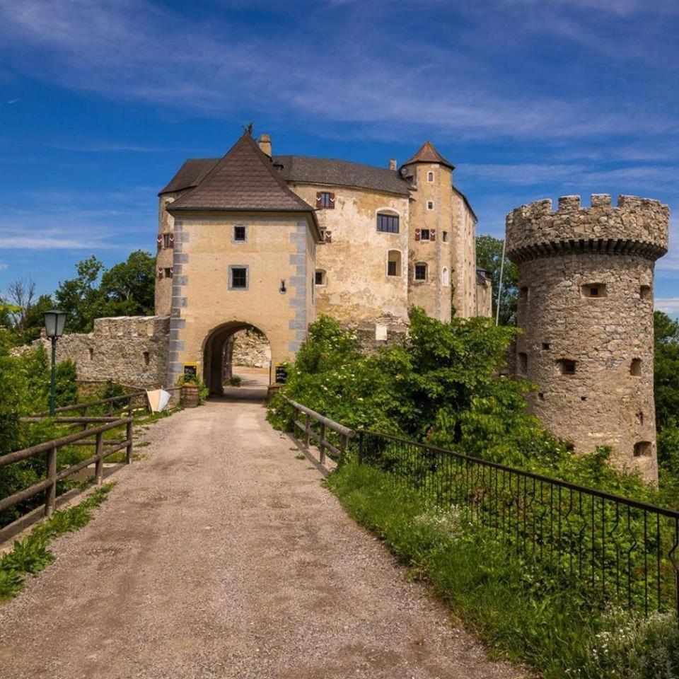 Burg Plankenstein Ξενοδοχείο Texing Εξωτερικό φωτογραφία