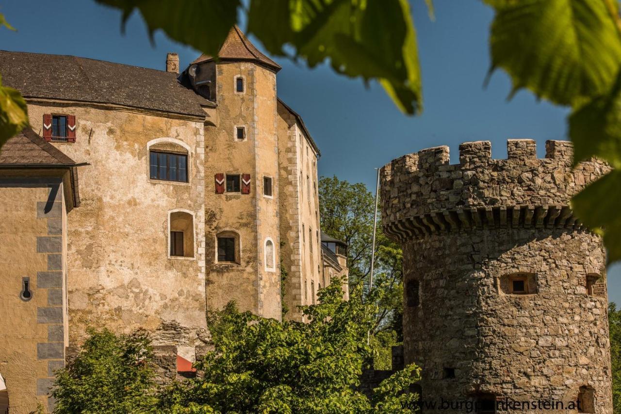 Burg Plankenstein Ξενοδοχείο Texing Εξωτερικό φωτογραφία
